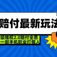 超级维权 2.0 全新玩法，2024 赔付全思路职业打假一部手机搞定（仅揭秘）