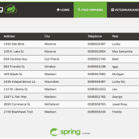 spring-petclinic， spring 官方例子-宠物医院