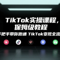 倪楠TikTok实操课带你跑通TikTok变现全流程