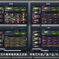 CSOL单机版超智能Al机器人陪玩大灾变Z生化模式全模式绝对武力