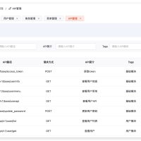 基于 FastAPI + Vue3 + Naive UI 的现代化前后端分离开发平台，助力中小型应用快速搭建的python源码