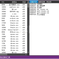 一键查网络验证工具源码