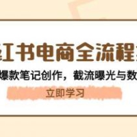 小红书电商全流程拆解：开店选品+爆款笔记创作，截流曝光与数据复盘指南