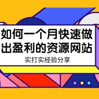 某收费培训：如何一个月快速做出盈利的资源网站，实打实经验（18 节）