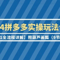 2024 拼多多实操玩法合集【0-1 全流程详解】照葫芦画瓢（9 节课）