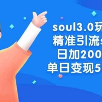 Soul 3.0 玩法精准引流 S 粉，日加 200 人单日变现 500+
